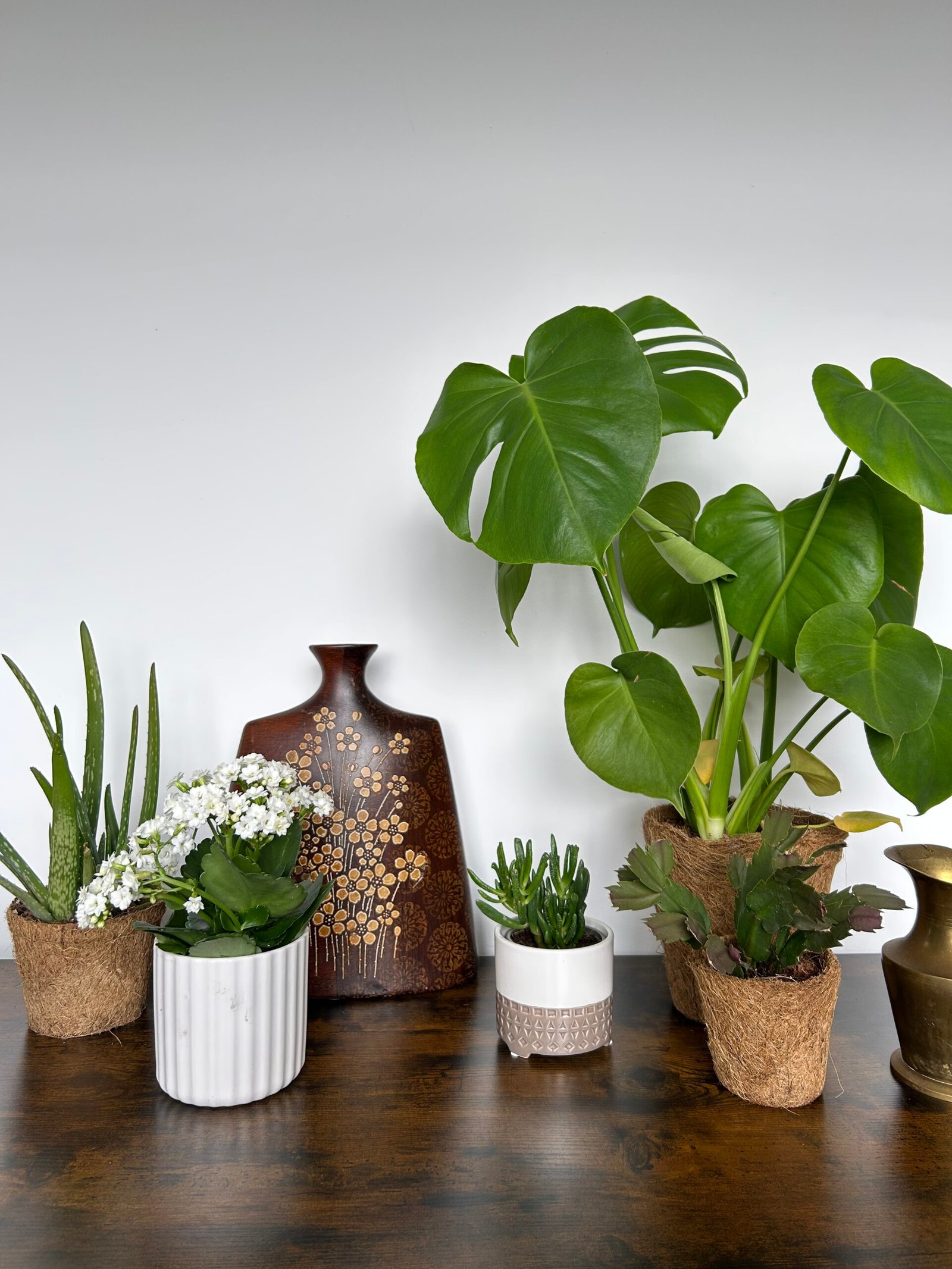 15 Gardening Jobs You Can Make Easier with Coir Products